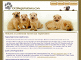ckcregistrations.com
