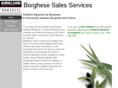 borghesesalesservices.com