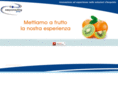 easyconsultingroup.com