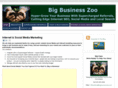 bigbusinesszoo.com