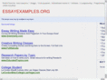 essayexamples.org