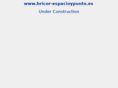 bricor-espacioypunto.es