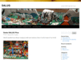salugcalgary.com