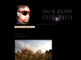 dalebstevens.com