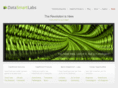 datasmartlabs.com