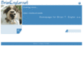 brianengler.net
