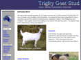 goatstud.com