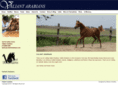 valiantarabians.com