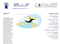 consultlt.com