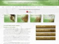 clevelandplasticsurgeryinstitute.com