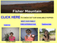 fishermountainpuppies.com