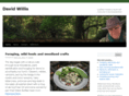 davidwillis.biz