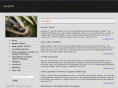 apophis.net