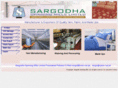 sargodhaspinning.com