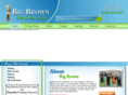 bigbrownfish.com