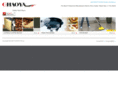 chinachaoya.com