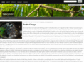 taneydich.com
