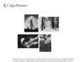 calipa.com
