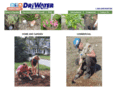 driwater.net