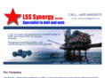lsssynergy.com