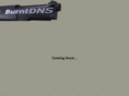burntdns.com