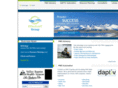 effectiveitgroup.com