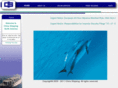 csnaweb.net