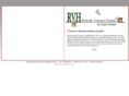 reidsvillevet.com