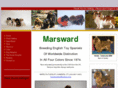 marsward.net