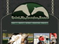paintmyquarterranch.com