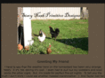 stacynashprimitives.com