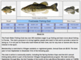 freshwaterfishingclub.com