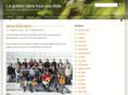 laguitaredanstoussesetats.com