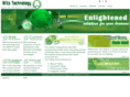 witztechnology.com