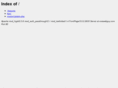 onewebguy.net