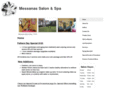 messanassalon.com
