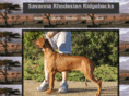 savannaridgebacks.com