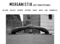 morganistik.com