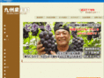 kyu-ka.com