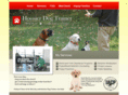 hoosierdogtrainer.com