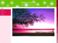 haleyscomet.org