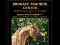 wingatetc.com