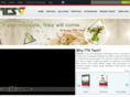 ttstech.net