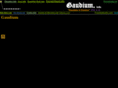 gaudium.info