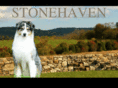 stonehavenkennel.com