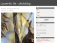 laurentiuilie.com