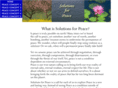solutionsforpeace.org