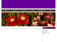 yifosoft.com