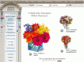 jerrys-flowers.com