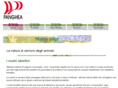 panghea.com